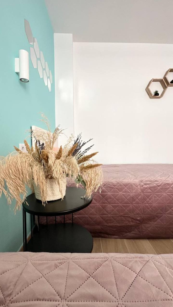 Pension Alicante Bergez Экстерьер фото